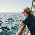 Curso de Técnico Auxiliar en Biología Marina: Fórmate online y conviértete en un profesional del mar